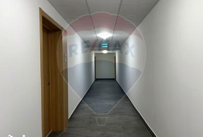 Apartament cu 2 camere decomandat, mobilat în Mogoșoaia - 6