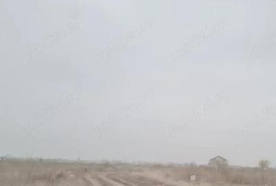 Vanzare Teren intravilan 5000mp Magurele - 1