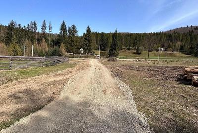 Teren de 6888 mp, în Putna
