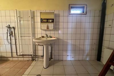 Casă individuală cu 3 camere cu Canalizare în Cugir - 8