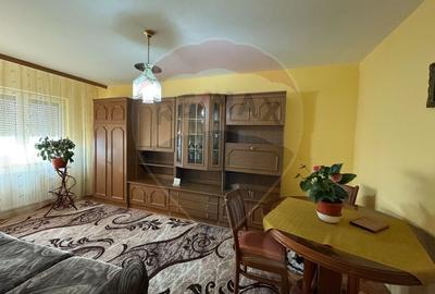 Apartament decomandat 3 camere -centrala proprie  zona Lebada - 1