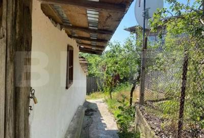 Casă cu 2 camere cu Teren 9500 Mp în Sacoșu Mare - 2