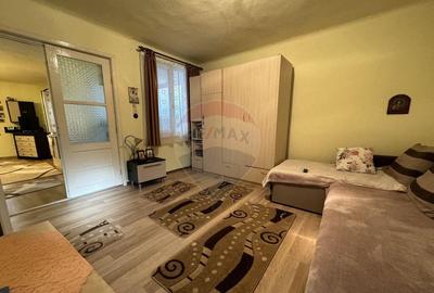 Casa in cartierul Vasia - 3