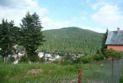 Teren în Valea Alba - 8