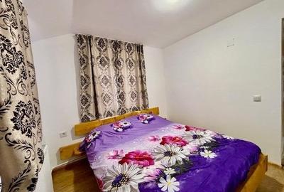 Cabana Valea Ierii, 4 dormitoare, 2 bai, ciubar, 110mp utili, 800 mp de teren - 11