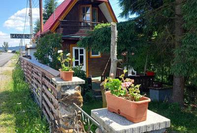 Vand 3 corpuri de constructii si teren langa VATRA DORNEI 259 000 euro negociabil-tota negociabil - 6