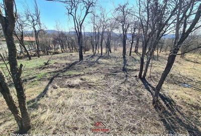 Teren intravilan in Cornu de Jos--4391 mp--43e - 1