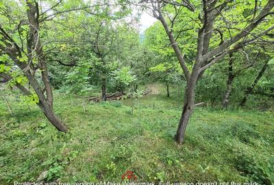 ●Casa  in Telega---28.000e● - 5