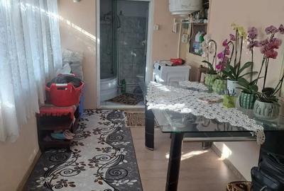 Casa cu teren generos de vanzare comuna Ro?iori, jude?ul Braila - 10