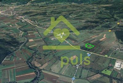 Teren de 10000 mp, în Mesteacăn (Brad) - 3