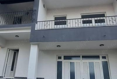 Casă cu 6 camere în Banat - 1