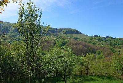 Teren intravilan si cladire in Apuseni, Blajeni, Hd - 1