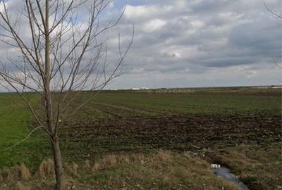 Spațiu comercial, în Pielești