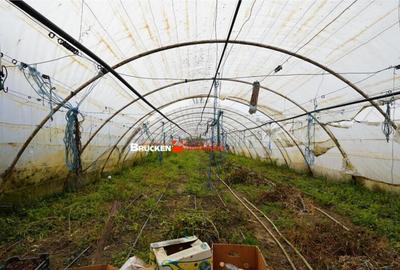 Casa de in Mihai Bravu - 2