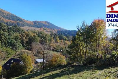 3600 mp teren intravilan, sat Bistrita, 16 Euro/mp - 3