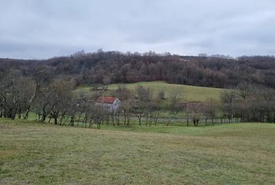 Teren în Orbău - 2