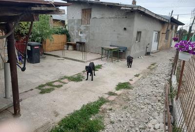 Casă cu Teren 320 Mp în Jilava - 3