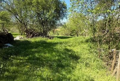 Casă cu 3 camere în Teiu - 5