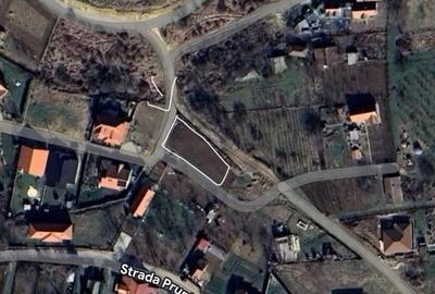 Spațiu comercial, în Oncea - 3