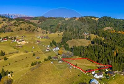 Teren de 13800 mp, în Fundățica - 14