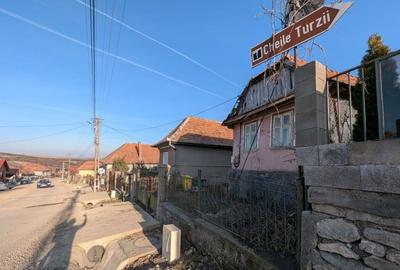 Casă cu 2 camere în Săndulești - 1