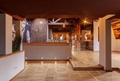 Spațiu comercial, de 235 mp, în Central - 14