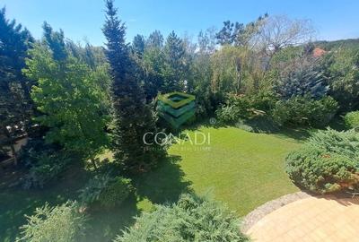 Baneasa-padure, vila de inchiriat, 500 mp utili - 1