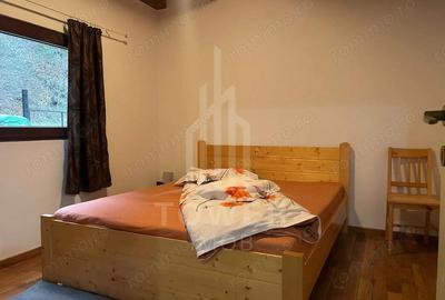 Casă cu Teren 800 Mp în Râu Sadului - 6