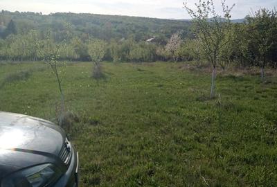 Teren de 7700 mp, în Dumbrăveni - 9