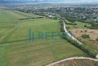 Teren de 3600 mp, în Racova - 2