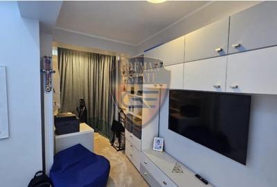 Apartament cu 4 camere decomandat, mobilat în Inel I - 7