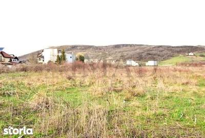 Teren de 3700 mp, în Aninoasa - 4