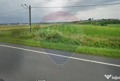 Teren de 4948 mp, în Brădești - 1