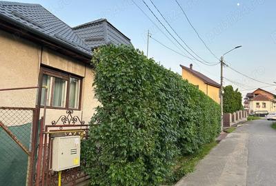 Casa de vanzare , Zalau , ultracentral , 250 m2 ( total suprafa?a 800m2),linga primarie . - 2