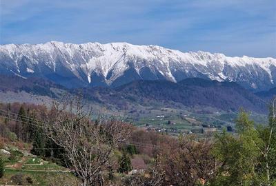 Teren intravilan de 6966 mp, în Bran - 4