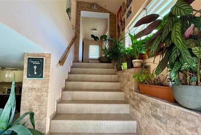 FILM&Tur 3D! Casa eleganta, curte amenajata, garaj, Brancovenesti, Mures - 7