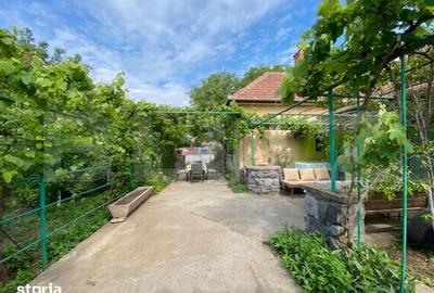 Casă cu 5 camere cu Teren 900 Mp în Ciarda Roșie - 6