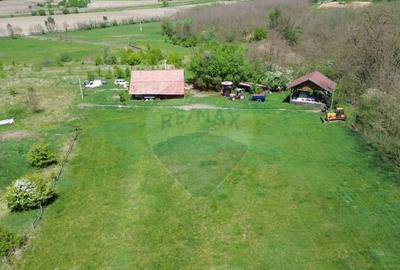 Teren de 659000 mp, în Copșa Mică - 5