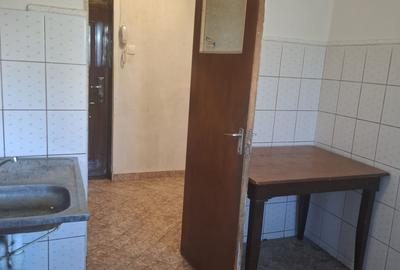 2Camere Patelimon Morarilor Parcul Florilor - 10