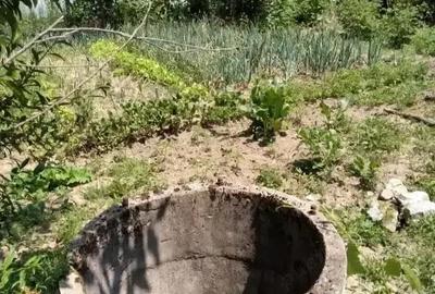 Casă cu 3 camere cu Teren 3000 Mp în Fârliug - 10