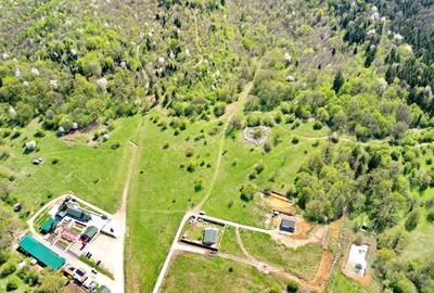 Teren Construcții intravilan de 5500 mp, în Cristian - 10