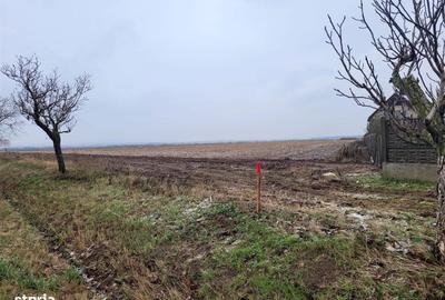 Spațiu comercial, în Nojorid