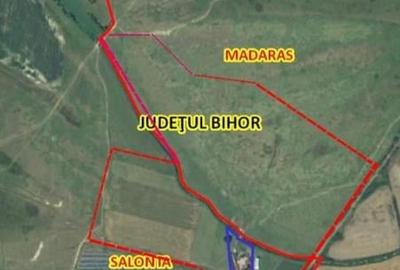 Teren Construcții intravilan de 200000 mp, în Periferie