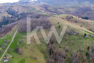 Teren agricol extravilan de 11105 mp, în Fundata - 3