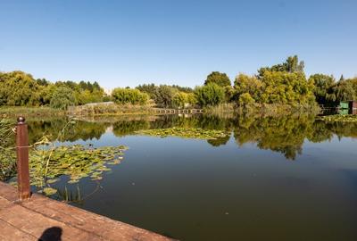 Unicitate, spațiu și rafinament în Snagov! Viata pe lac !! - 7
