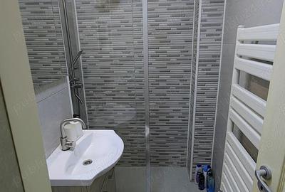 Apartament cu 2 camere decomandat, mobilat în Viitorului - 4