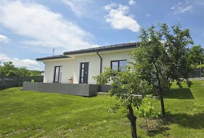 Casa  - Panoramic Probota - 2