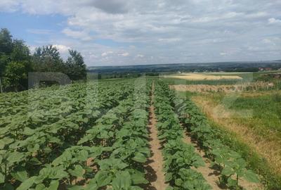 Teren de 4400 mp, în Grămești - 2