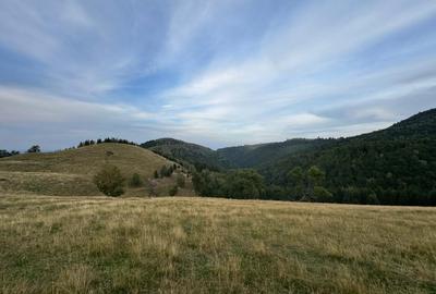 Teren extravilan de 14526 mp, în Rășinari - 4