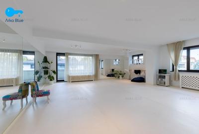 Imobil modern-Domenii, Casin - birouri, clinica, parcare subterana Imobil modern-Domenii, Casin - birouri, clinica, parcare subterana - 16